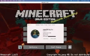 Minecraft Java Edition 1